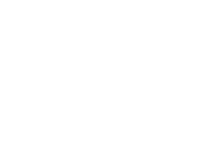 Discerning Seniors Logo