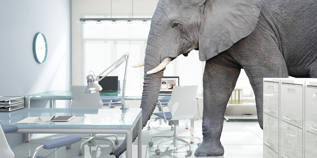 Elephant in an office wing
